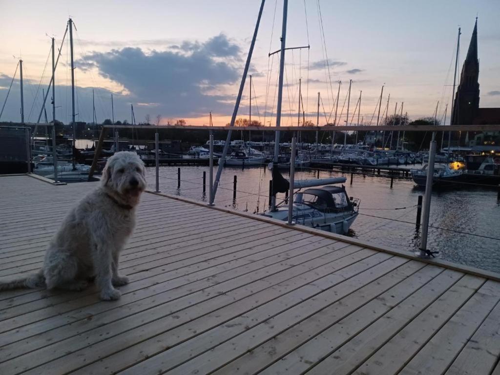Hausboot Gluecksmomente Mit Dachterrasse In Schleswig Am Ostseefjord Schlei Exterior foto